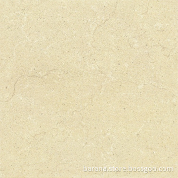 Polished Tile (TSC60106)